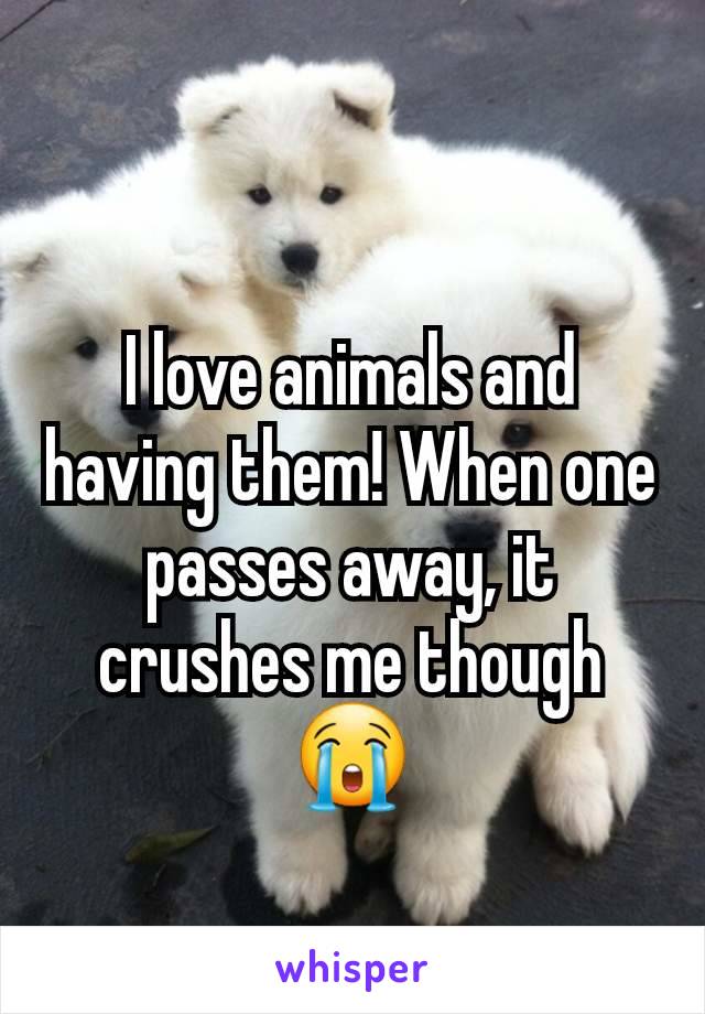 I love animals and having them! When one passes away, it crushes me though 😭