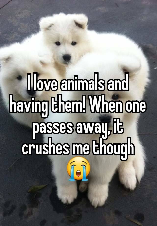 I love animals and having them! When one passes away, it crushes me though 😭