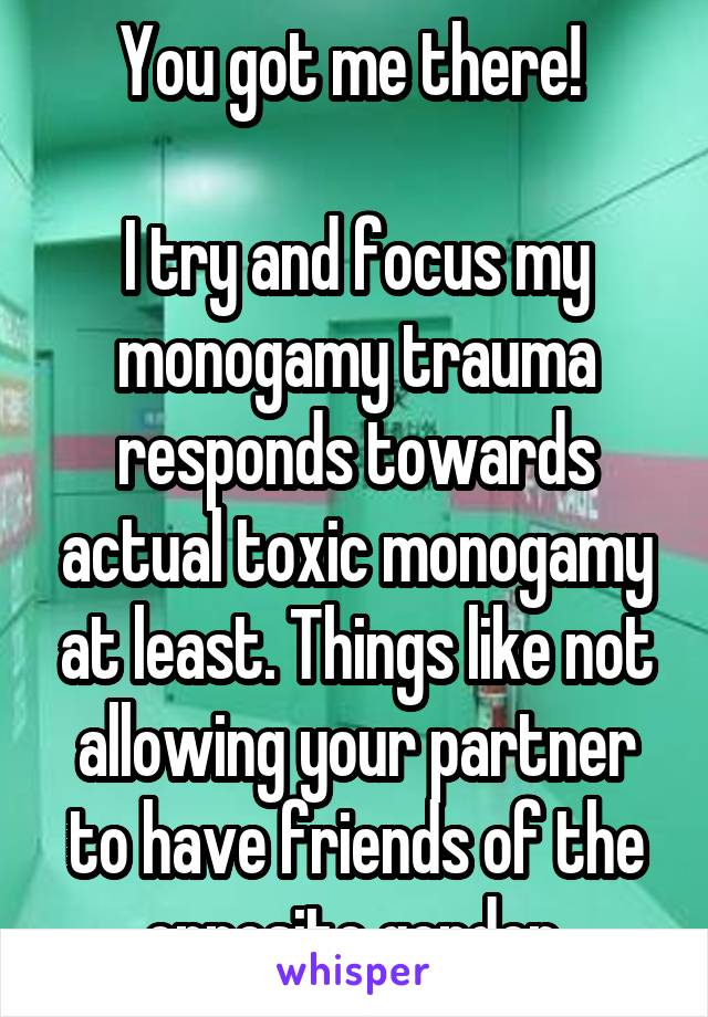 You got me there! 

I try and focus my monogamy trauma responds towards actual toxic monogamy at least. Things like not allowing your partner to have friends of the opposite gender.