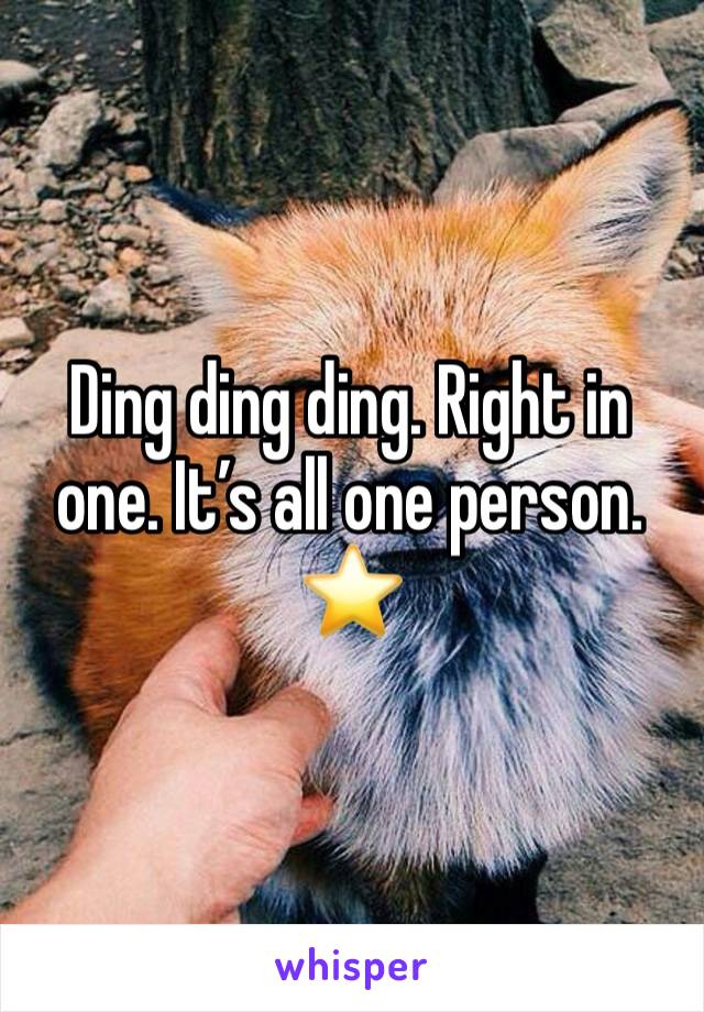 Ding ding ding. Right in one. It’s all one person.
⭐️