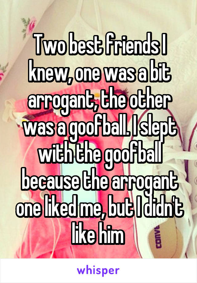 Two best friends I knew, one was a bit arrogant, the other was a goofball. I slept with the goofball because the arrogant one liked me, but I didn't like him 