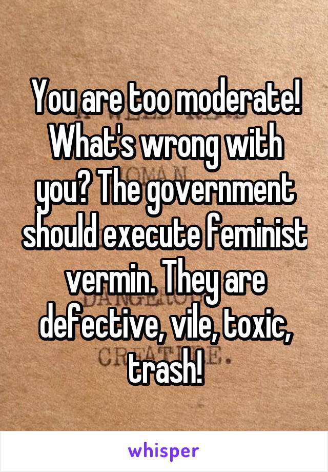 You are too moderate! What's wrong with you? The government should execute feminist vermin. They are defective, vile, toxic, trash!