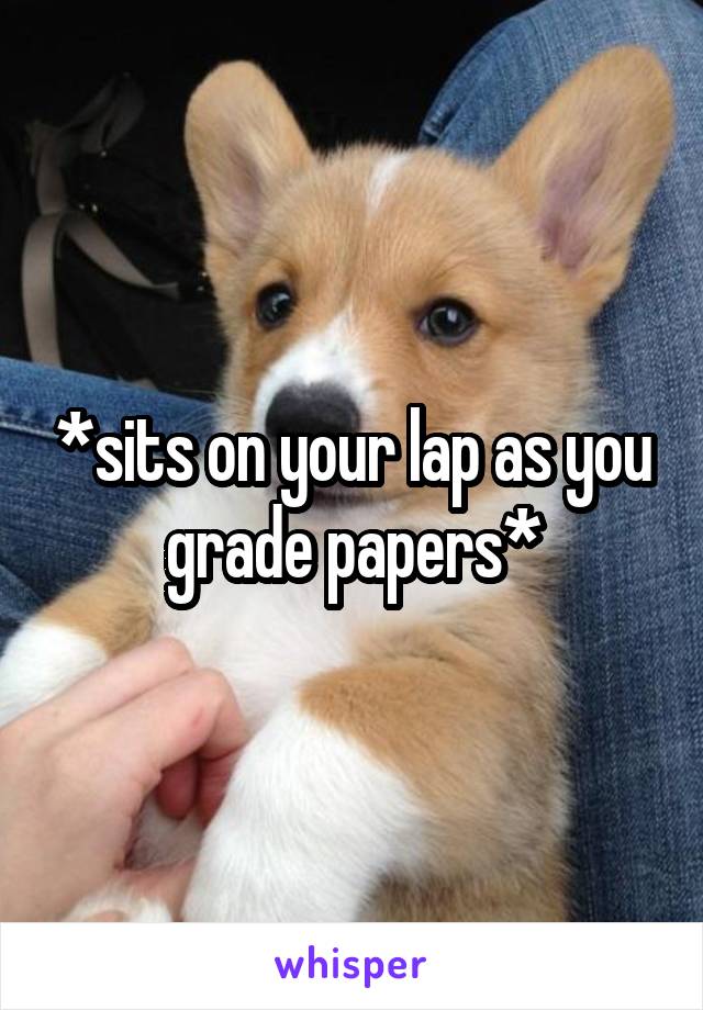 *sits on your lap as you grade papers*