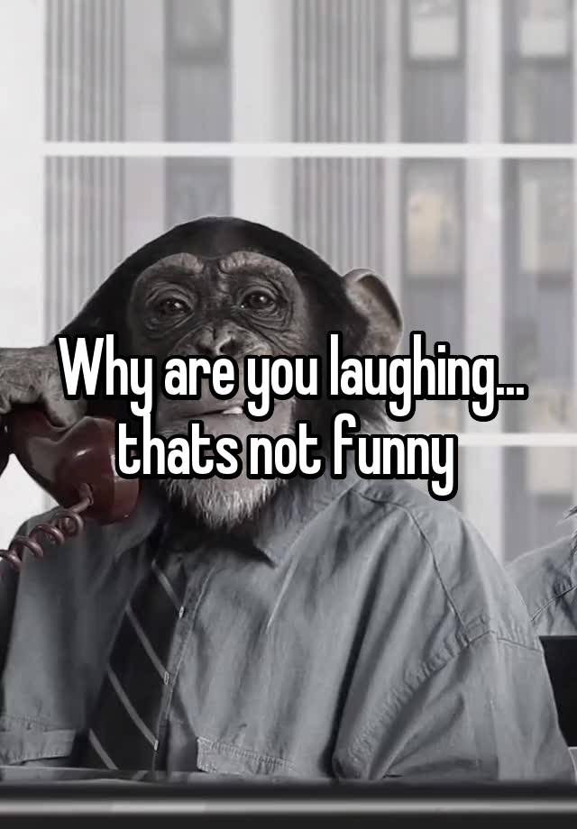 Why are you laughing... thats not funny 