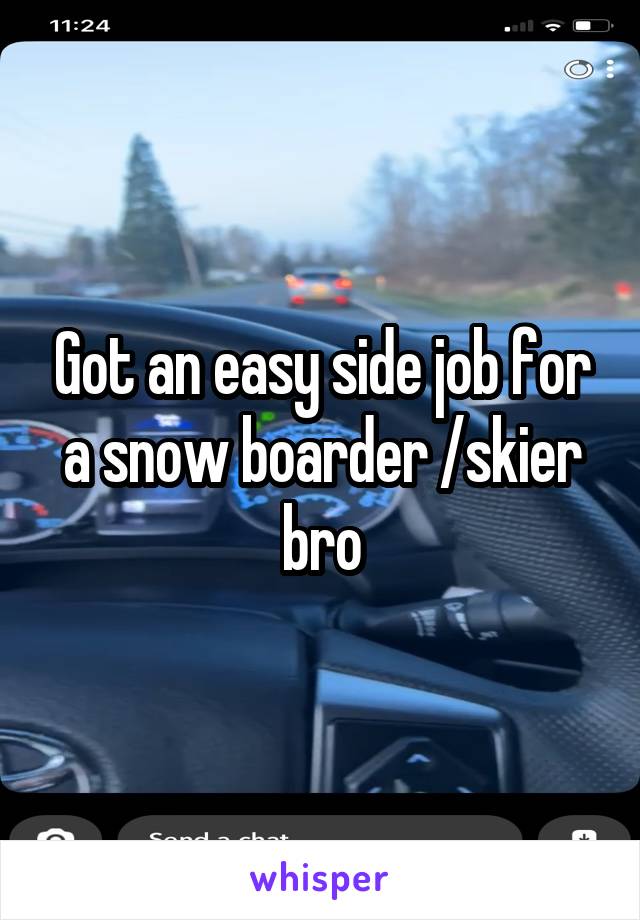 Got an easy side job for a snow boarder /skier bro