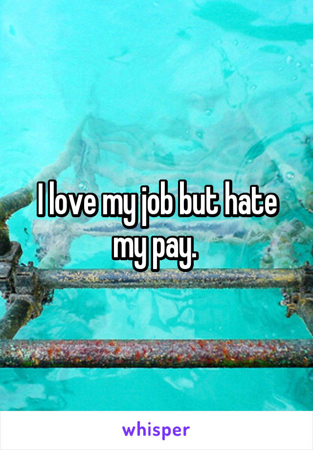 I love my job but hate my pay. 