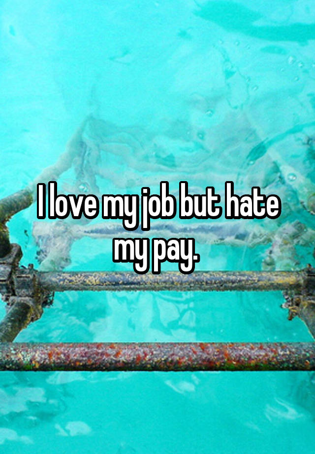 I love my job but hate my pay. 