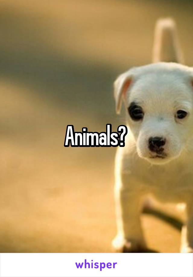 Animals? 