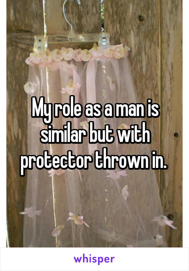 My role as a man is similar but with protector thrown in. 