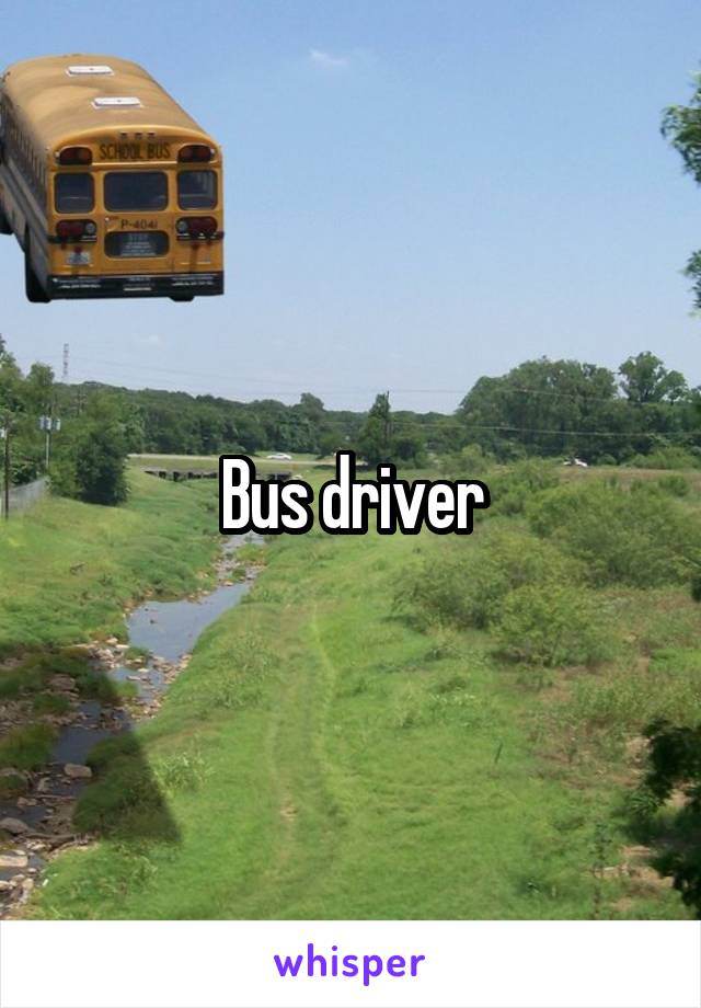 Bus driver