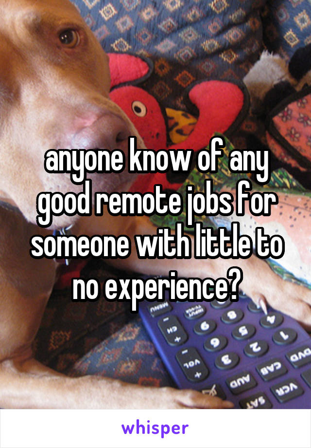 anyone know of any good remote jobs for someone with little to no experience?