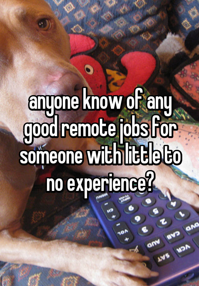 anyone know of any good remote jobs for someone with little to no experience?