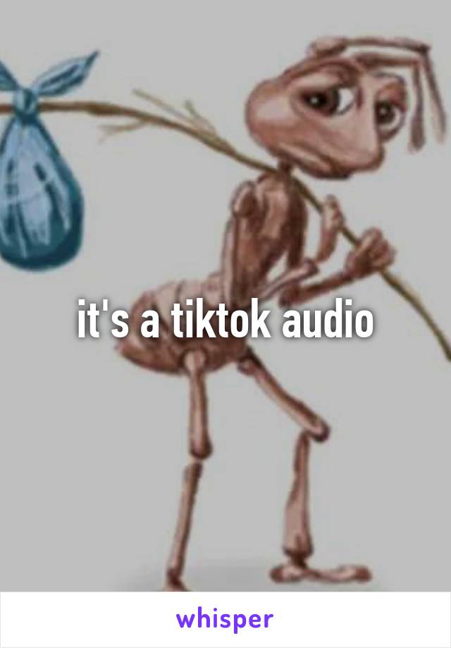 it's a tiktok audio