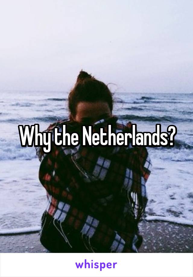 Why the Netherlands?