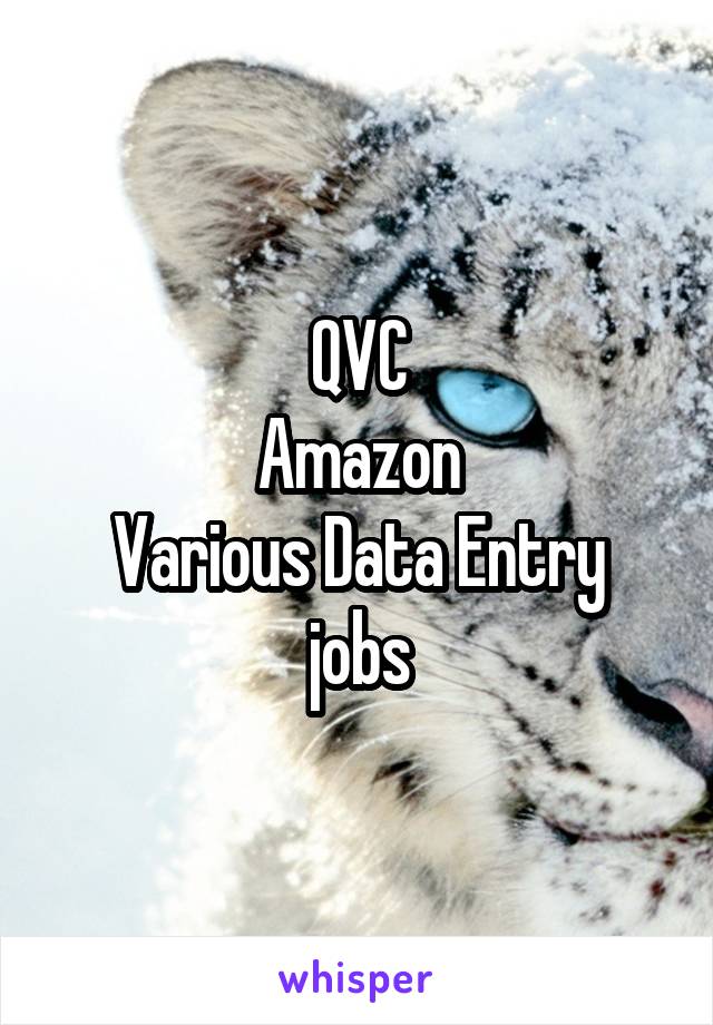 QVC
Amazon
Various Data Entry jobs