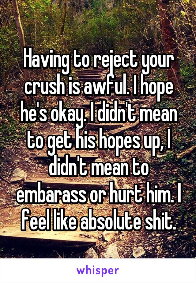 Having to reject your crush is awful. I hope he's okay. I didn't mean to get his hopes up, I didn't mean to embarass or hurt him. I feel like absolute shit.