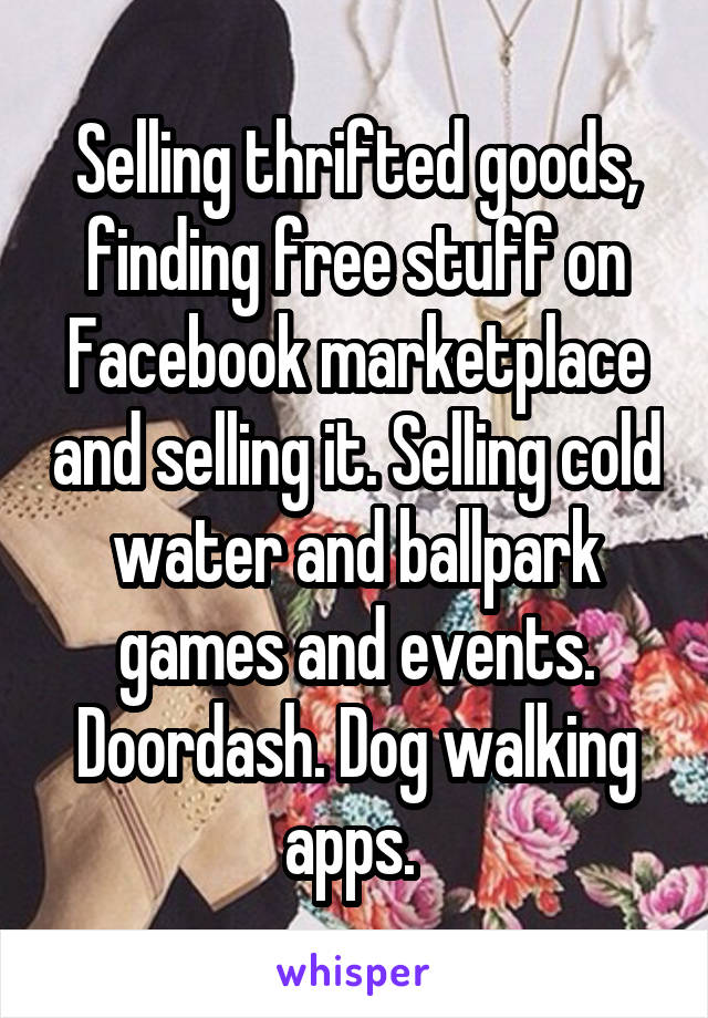 Selling thrifted goods, finding free stuff on Facebook marketplace and selling it. Selling cold water and ballpark games and events. Doordash. Dog walking apps. 