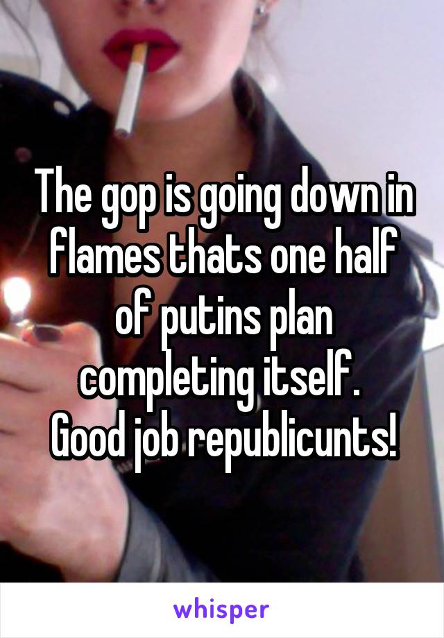 The gop is going down in flames thats one half of putins plan completing itself. 
Good job republicunts!