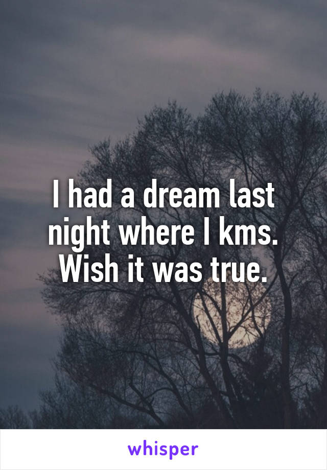 I had a dream last night where I kms. Wish it was true.