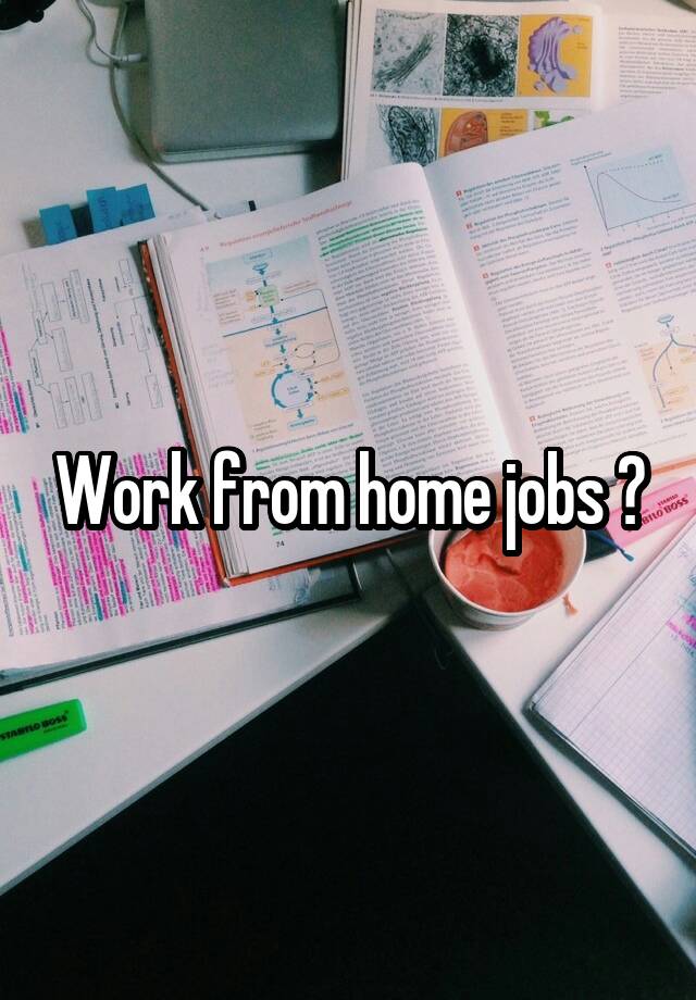 Work from home jobs ?