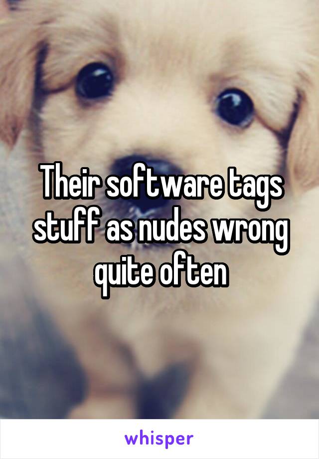 Their software tags stuff as nudes wrong quite often