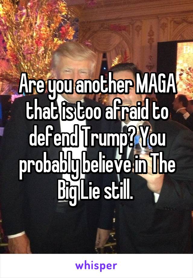 Are you another MAGA that is too afraid to defend Trump? You probably believe in The Big Lie still. 