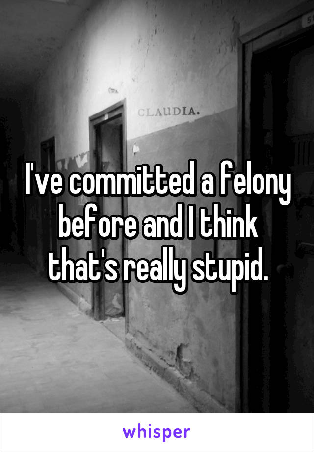 I've committed a felony before and I think that's really stupid.