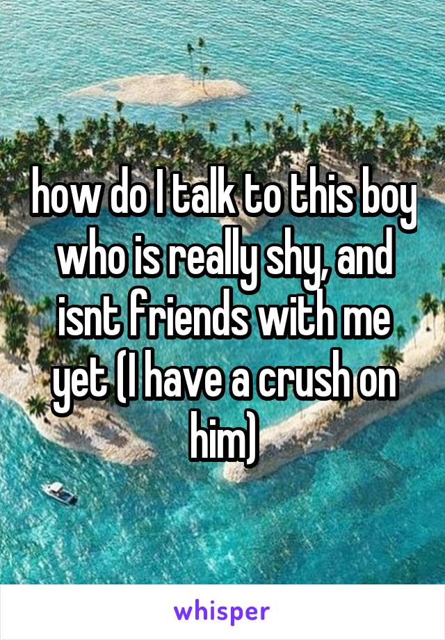 how do I talk to this boy who is really shy, and isnt friends with me yet (I have a crush on him)