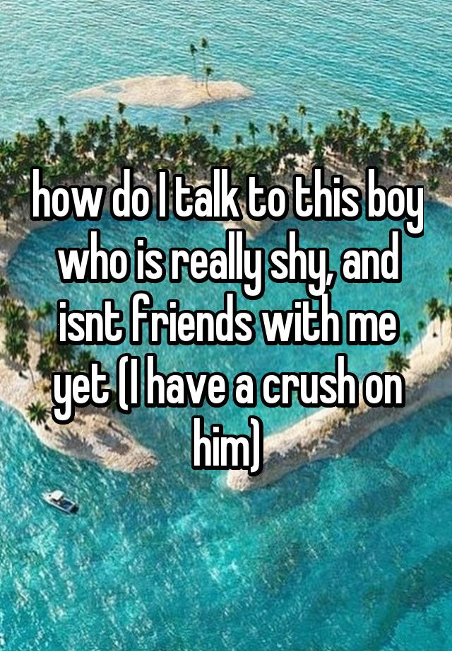 how do I talk to this boy who is really shy, and isnt friends with me yet (I have a crush on him)