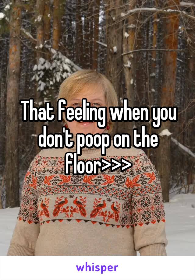 That feeling when you don't poop on the floor>>>