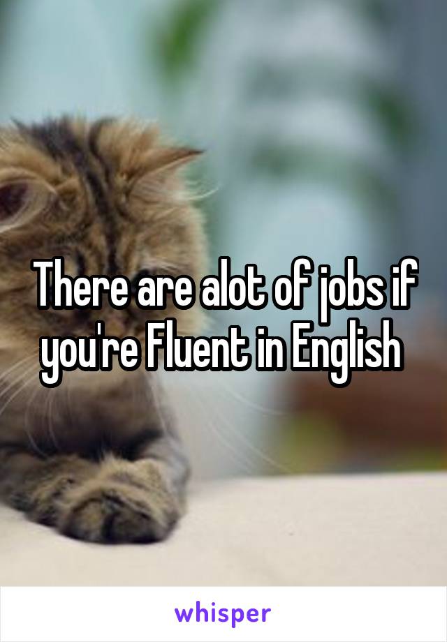 There are alot of jobs if you're Fluent in English 