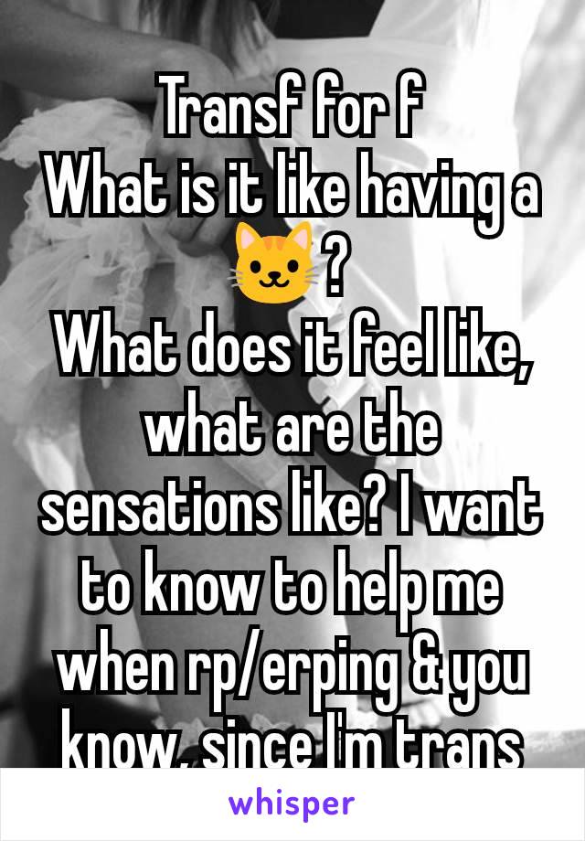 Transf for f
What is it like having a 🐱? 
What does it feel like, what are the sensations like? I want to know to help me when rp/erping & you know, since I'm trans