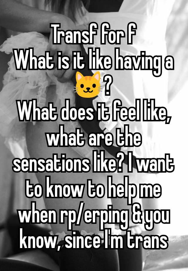 Transf for f
What is it like having a 🐱? 
What does it feel like, what are the sensations like? I want to know to help me when rp/erping & you know, since I'm trans