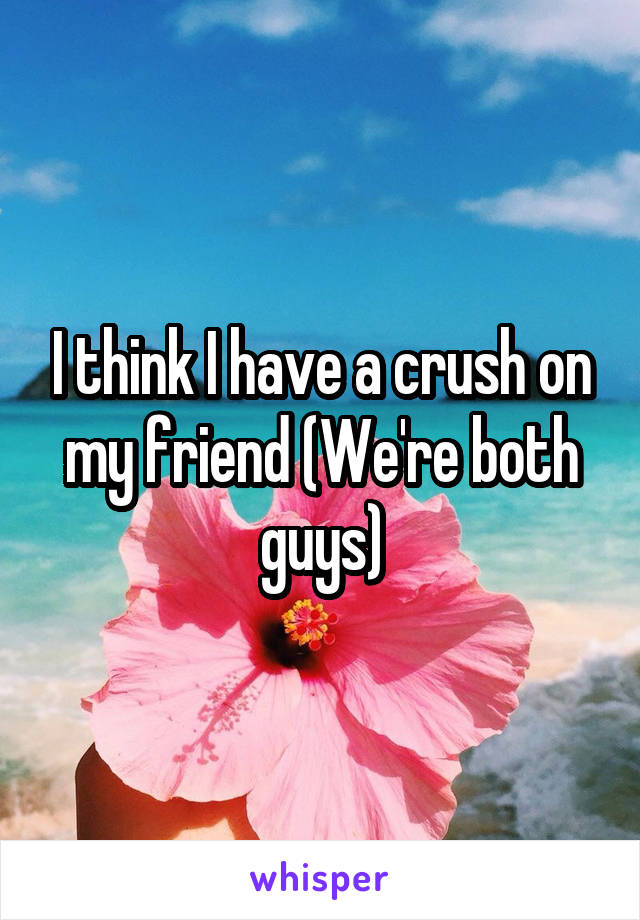 I think I have a crush on my friend (We're both guys)