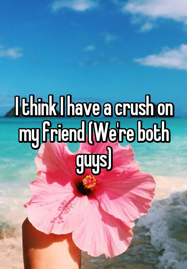 I think I have a crush on my friend (We're both guys)