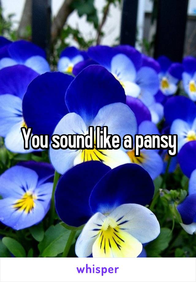 You sound like a pansy