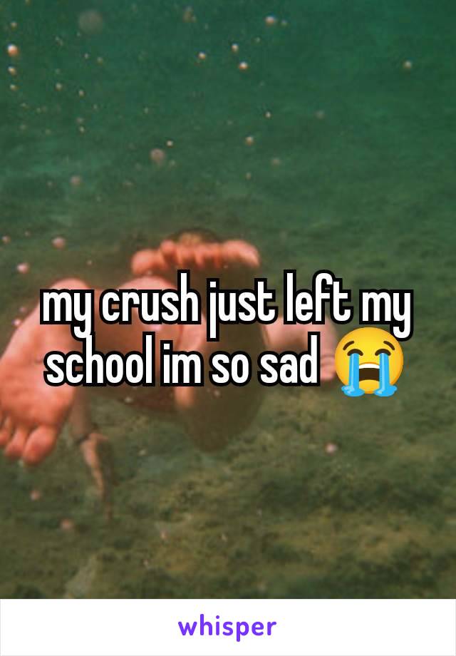 my crush just left my school im so sad 😭