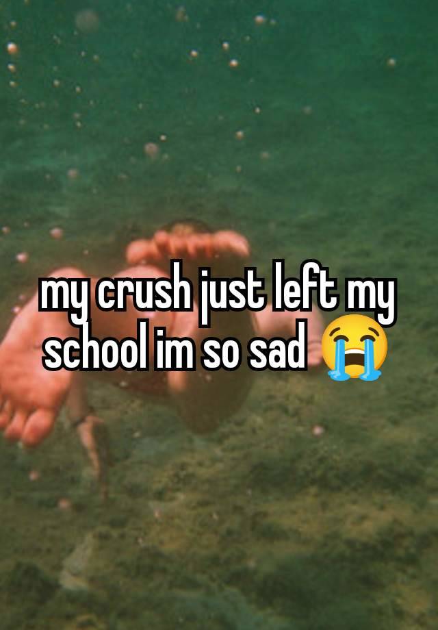 my crush just left my school im so sad 😭