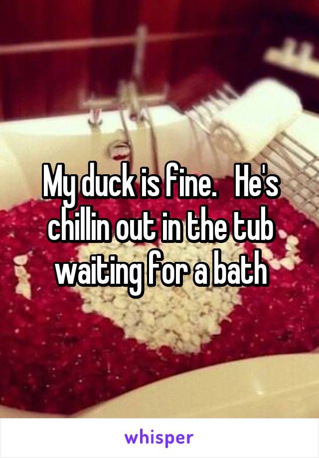 My duck is fine.   He's chillin out in the tub waiting for a bath