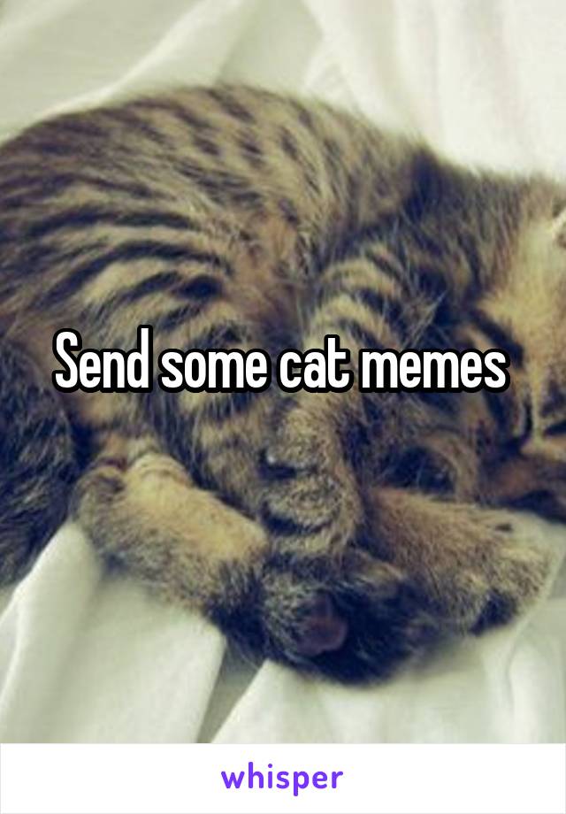 Send some cat memes 
