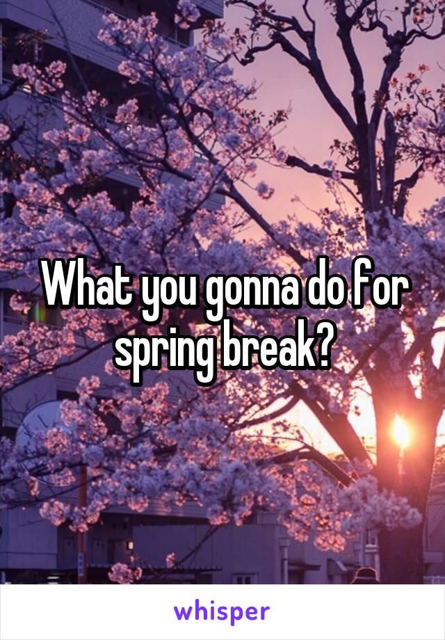 What you gonna do for spring break?