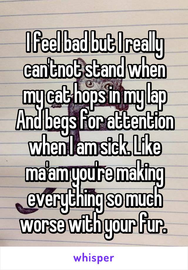 I feel bad but I really can'tnot stand when my cat hops in my lap And begs for attention when I am sick. Like ma'am you're making everything so much worse with your fur. 