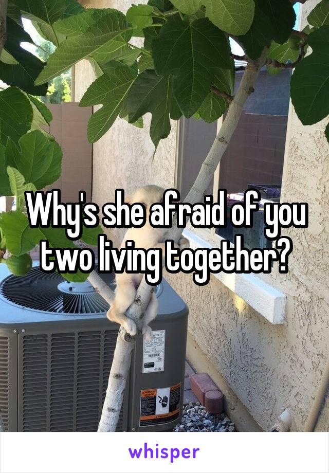 Why's she afraid of you two living together?