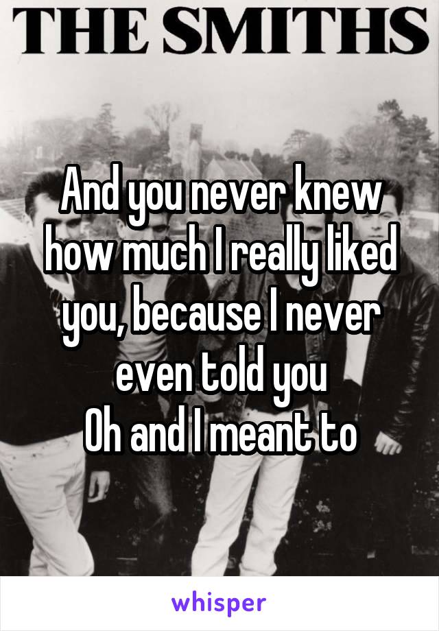 And you never knew how much I really liked you, because I never even told you
Oh and I meant to