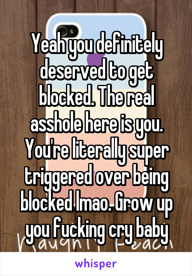 Yeah you definitely deserved to get blocked. The real asshole here is you. You're literally super triggered over being blocked lmao. Grow up you fucking cry baby