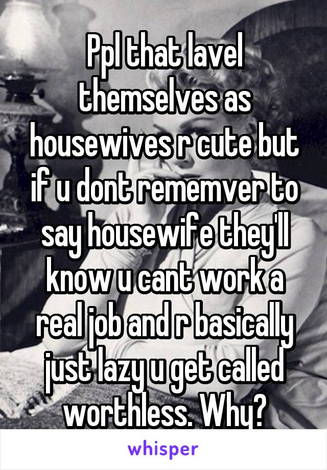 Ppl that lavel themselves as housewives r cute but if u dont rememver to say housewife they'll know u cant work a real job and r basically just lazy u get called worthless. Why?