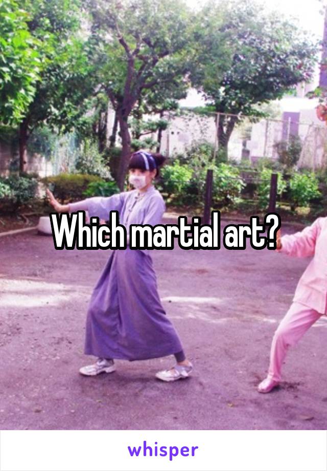 Which martial art?