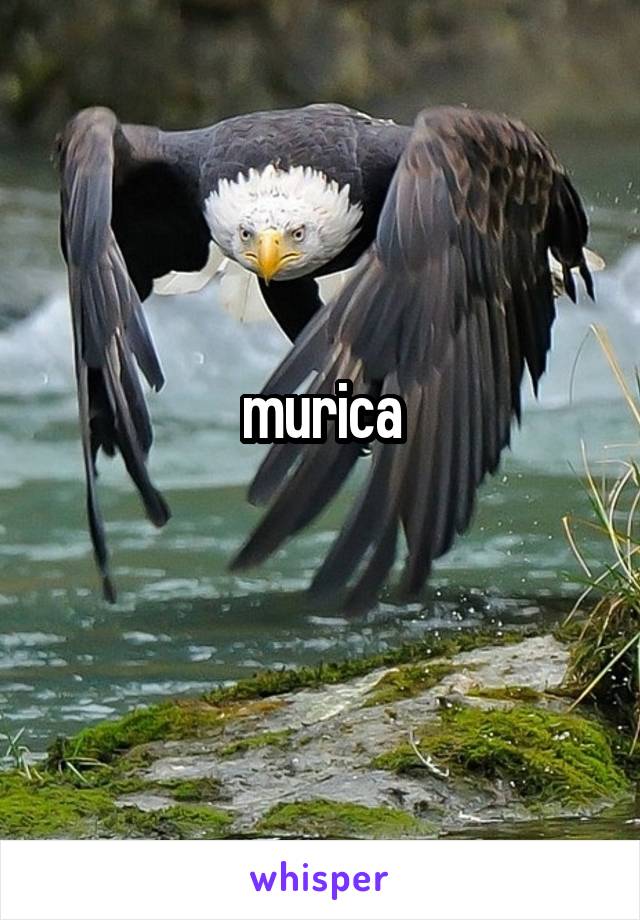 murica
