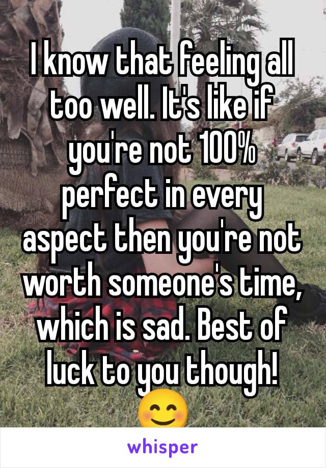 I know that feeling all too well. It's like if you're not 100% perfect in every aspect then you're not worth someone's time, which is sad. Best of luck to you though! 😊