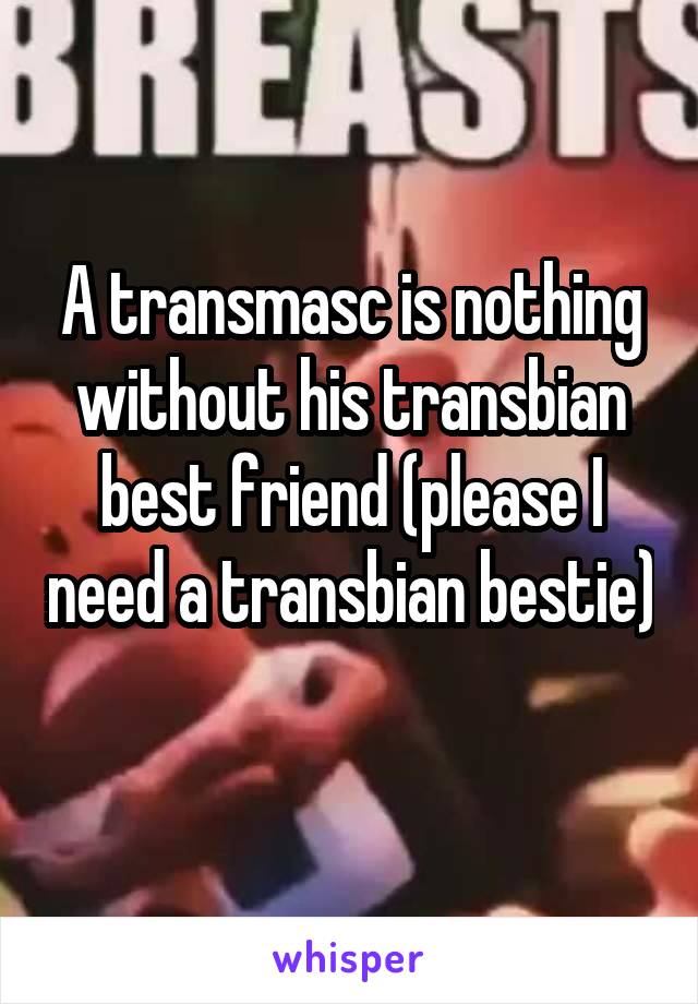 A transmasc is nothing without his transbian best friend (please I need a transbian bestie) 